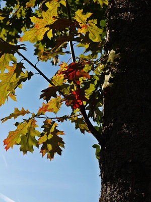 Es wird bunt