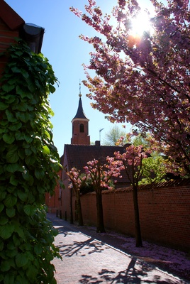 Frühlingsgasse.