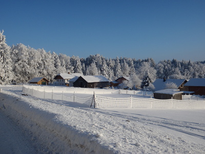 Verschneite Heimat