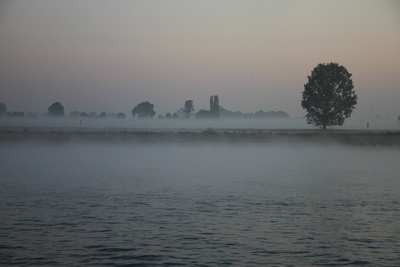Morgennebel  auf  dem  Rhein