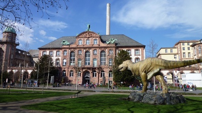 Senckenbergmuseum