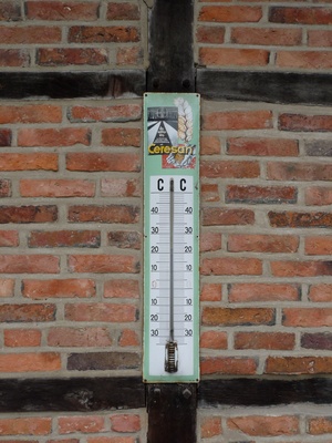 Altes Thermometer