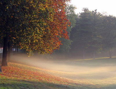 Der Herbst kommt mit Nebel