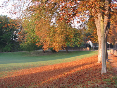Herbst im Speyerer Domgarten