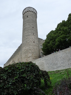 Tallin: alte Festung