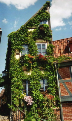 Ein halbes Haus mit grünem Pullover