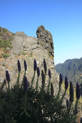 Gebirgswelt in Madeira