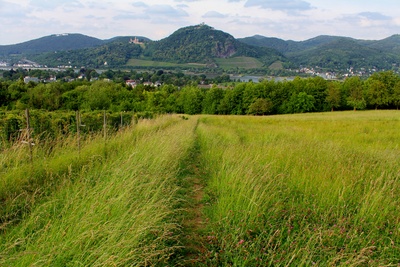 Feldweg auf dem Rodderberg mit Blick auf den Drachenfels