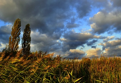 herbst