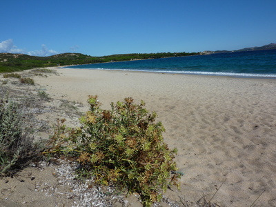 SARDINIEN – COSTA SMERALDA_23 SARDINIEN – COSTA SMERALDA_23