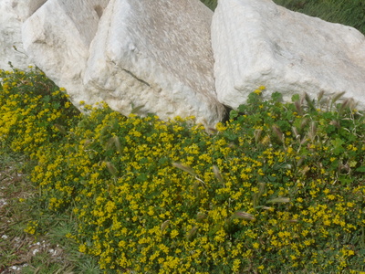Historische Steine (Naxos)