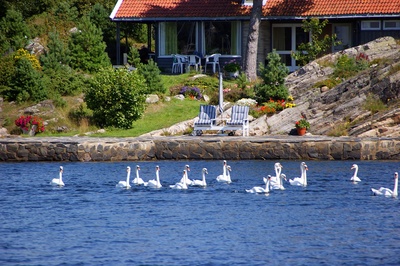 Relaxen am Fjord