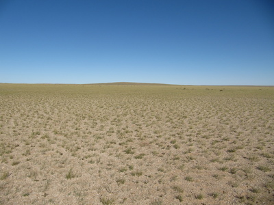 Wüste Gobi