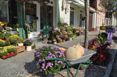Blumenladen Altstadt Beelitz