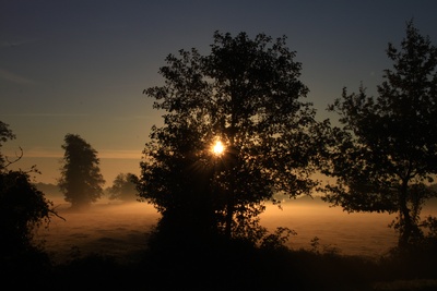 Morgens,  ganz  früh  ! !!