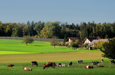 Idylle auf dem Land