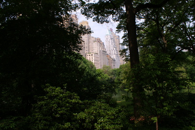 Blick aus dem Central Park