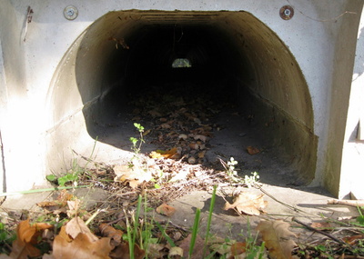 Krötentunnel 1