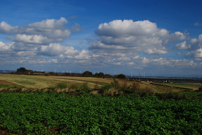 Blick ins Weinviertel