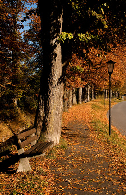 Herbstspaziergang