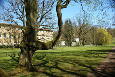 Park in Bad Driburg
