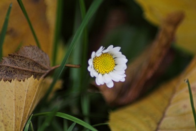 Frühling und Herbst