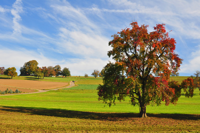 Weites Feld in den Herbstfarben