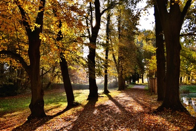 weg im schlosspark