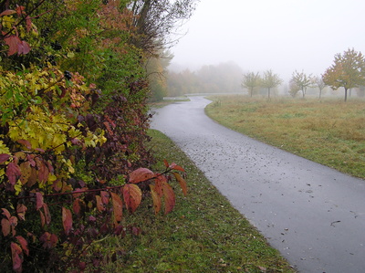 Novemberwetter