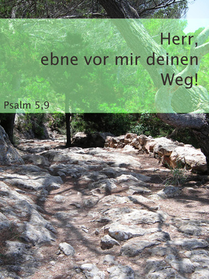 Psalm 5,9