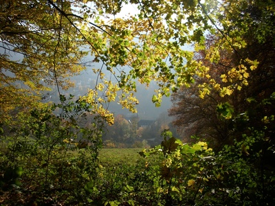 Herbststimmung über Stift Neuburg