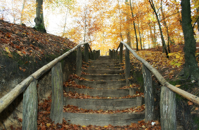 Treppe im Herbst