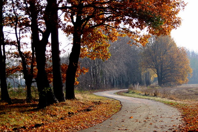 auf dem Radweg durch die Lausitz