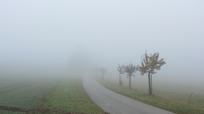 Nebel im Odenwald