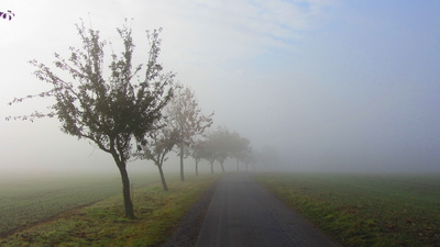 Nebel im Odenwald