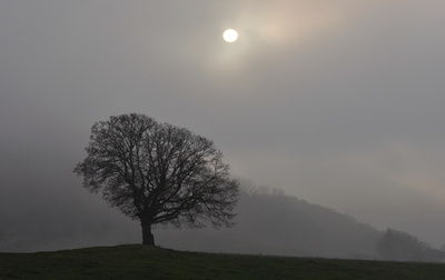 An der Nebelgrenze