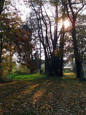 Herbst im Park