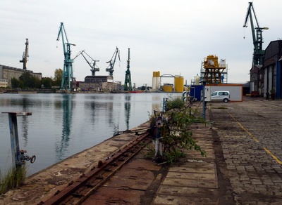 Krähne in der Danziger Werft