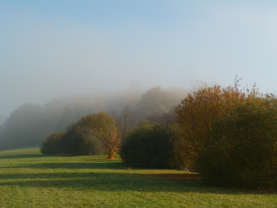 Novembermorgen im Nebel