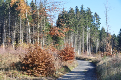 der weg in die stille