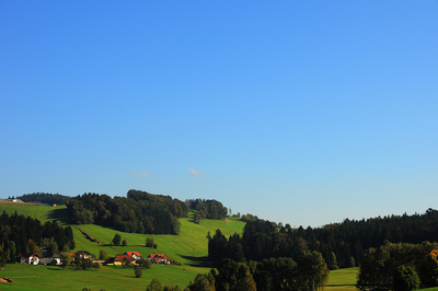 Herbstlandschaft