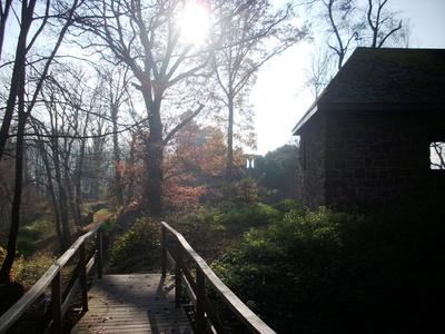 Burg Eberbach