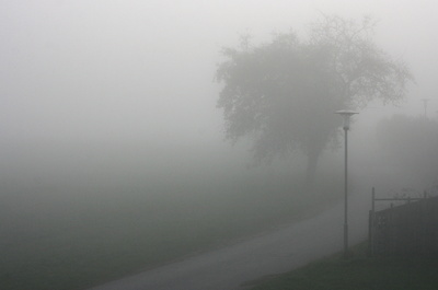 Nebelmorgen 8