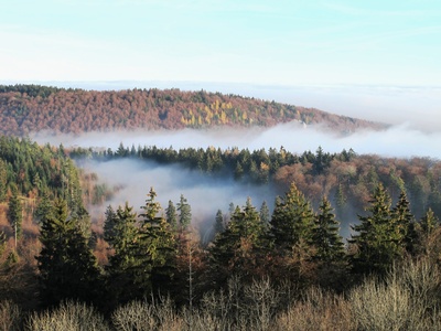 Novemberwetter  -  Wenn die Nebel steigen