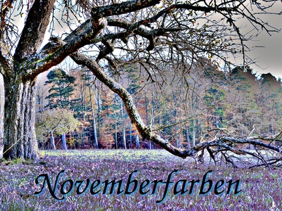 Novemberfarben