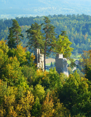 Burgruine im Herbstwald