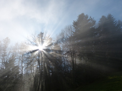 Ein Licht in dunkler Nacht