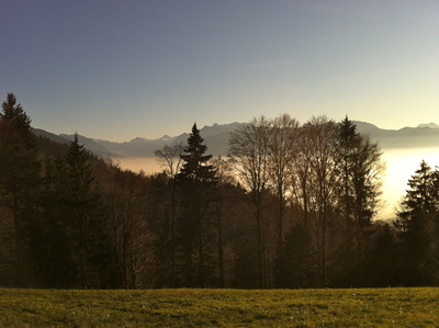 Nebelbank mit Alpenblick