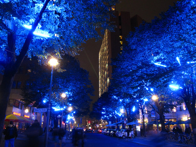 Festival of Lights _blaue Bäume