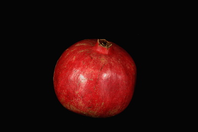 Granatapfel 11
